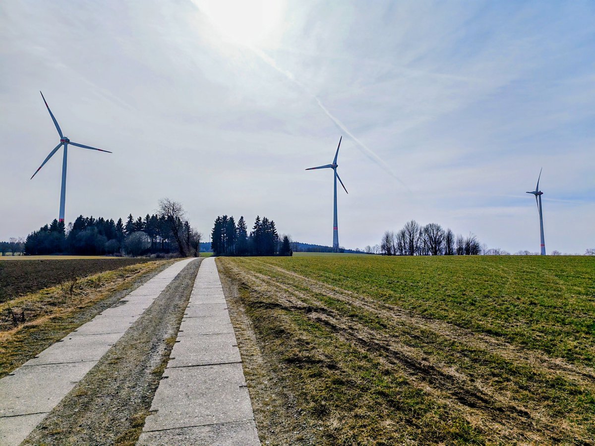 Rico Oelmann tweet media