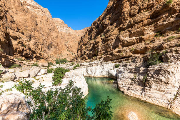 WI_OM_TOURISM's tweet photo. Imagine swimming in turquoise pools hidden inside a dramatic canyon → #Wadi_Shab 
Crystal-clear water, secret cave, pure magic
#Oman isn’t just a destination — it’s a feeling

#WadiShab #OmanAdventure #ExploreOman https://t.co/MVp9Dbl7SS