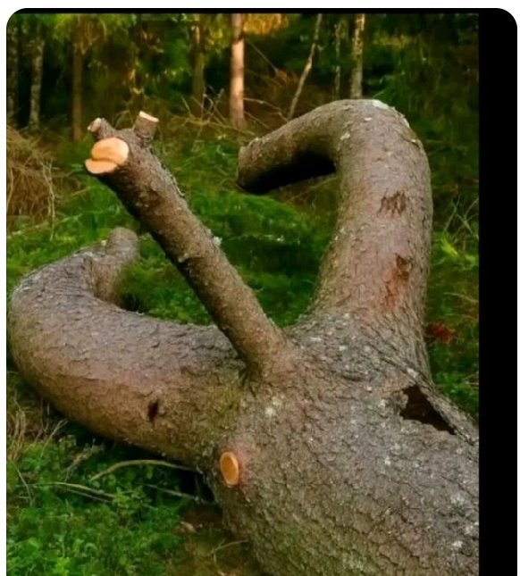 Extension cord 2 🔌 tweet media