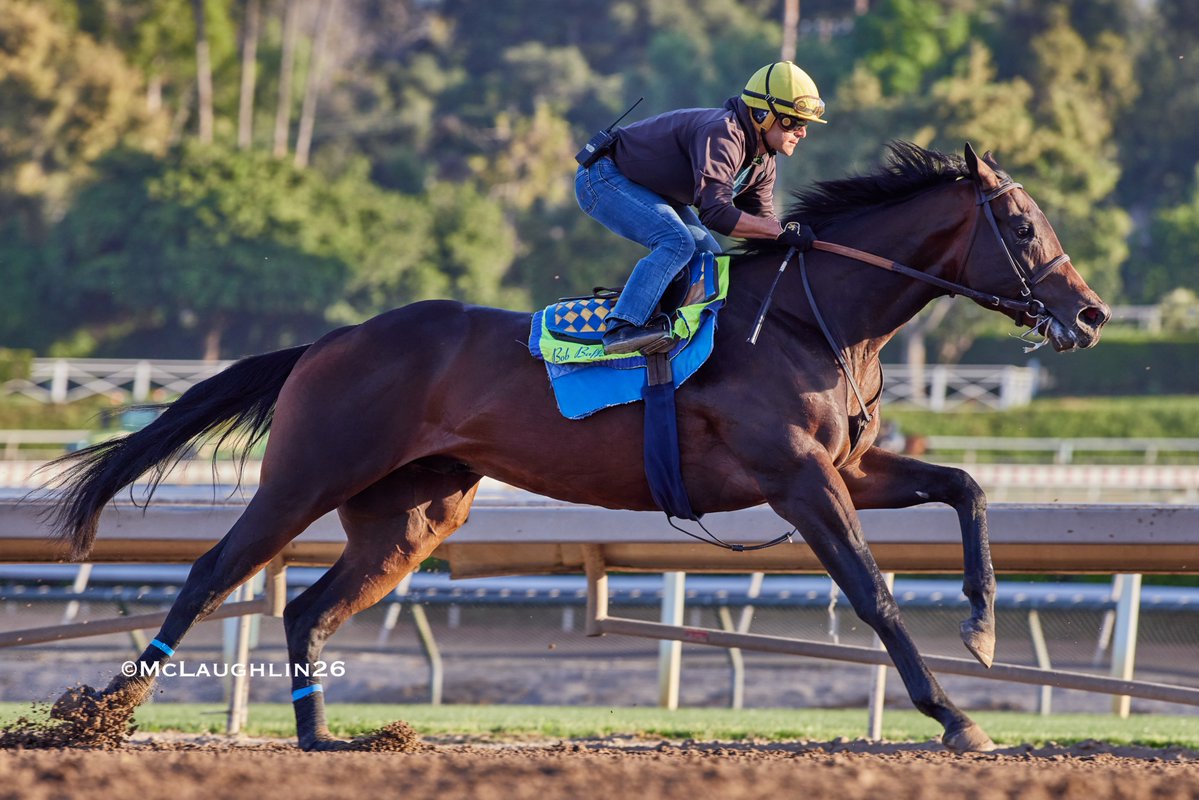 J McLaughlin Safford tweet media