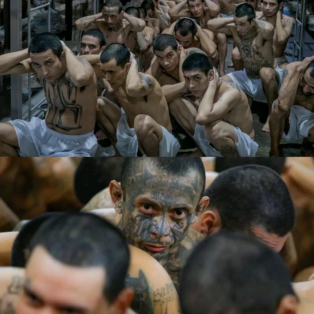 Anonimo.sv tweet media