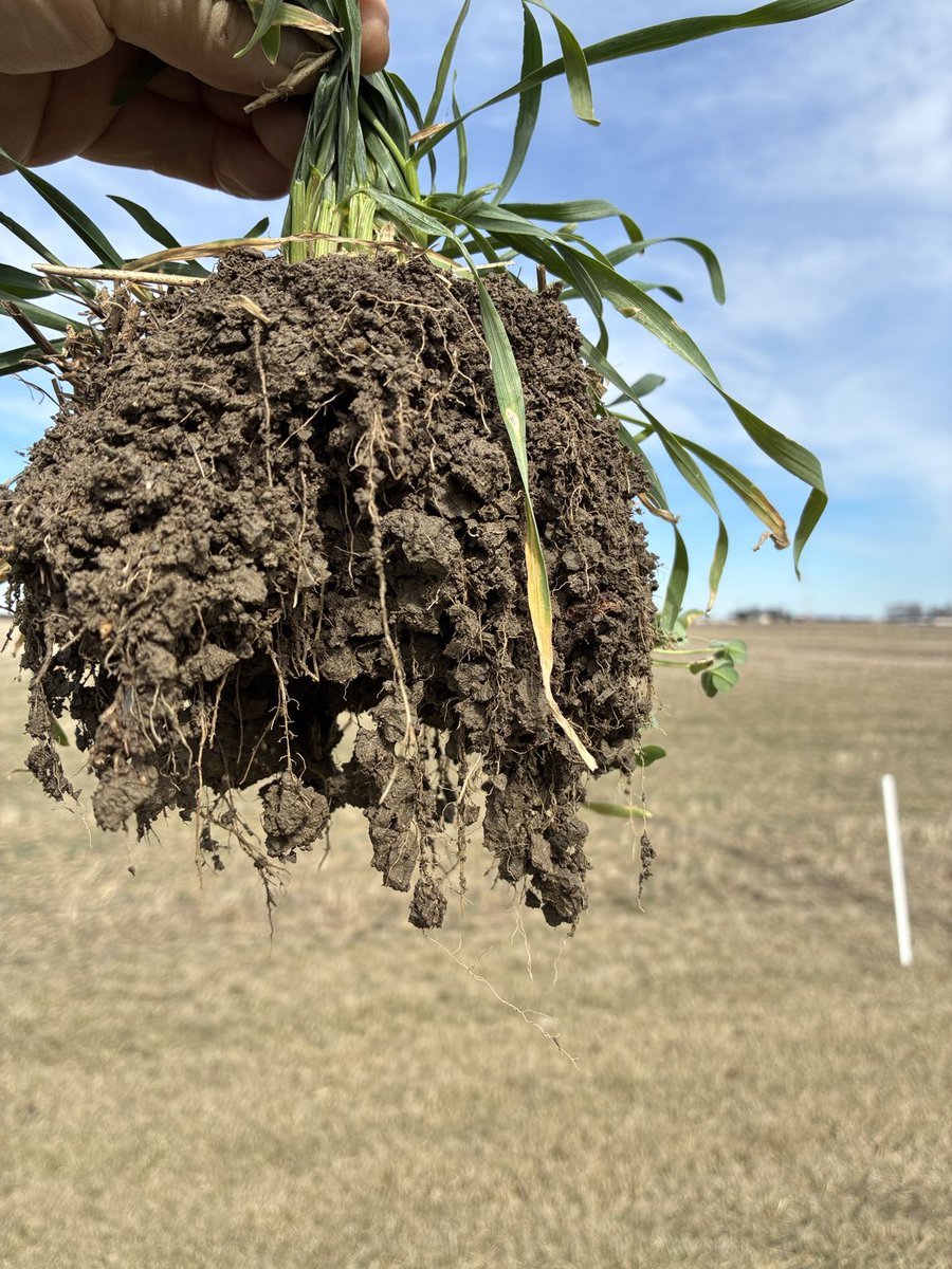 Blake Vince tweet media