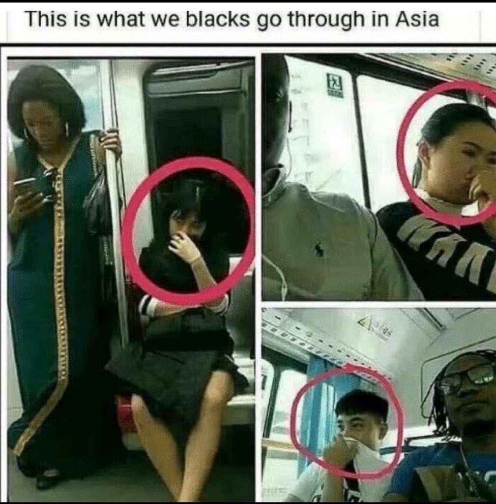 Kumashun🇯🇵🐻💎 tweet media