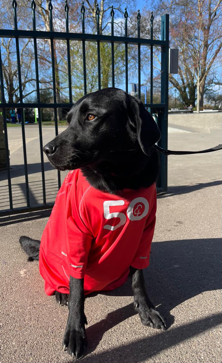 FulhamPalace parkrun tweet media