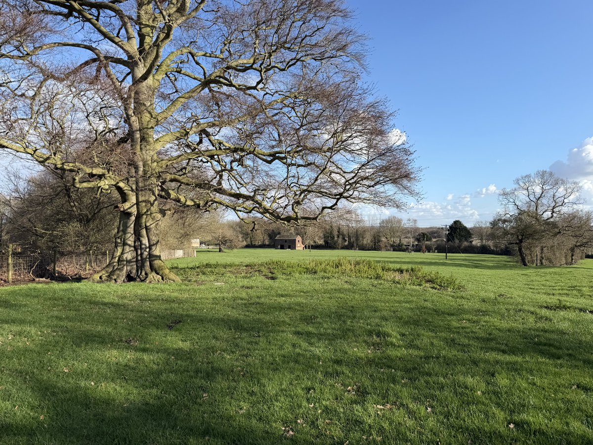 rly cool girl tweet media