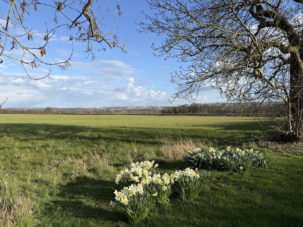 rly cool girl tweet media