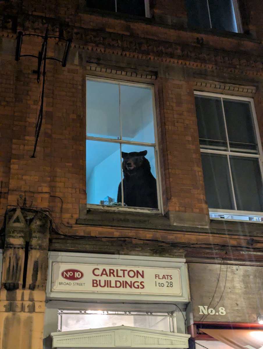 Saw this and actually screamed out loud