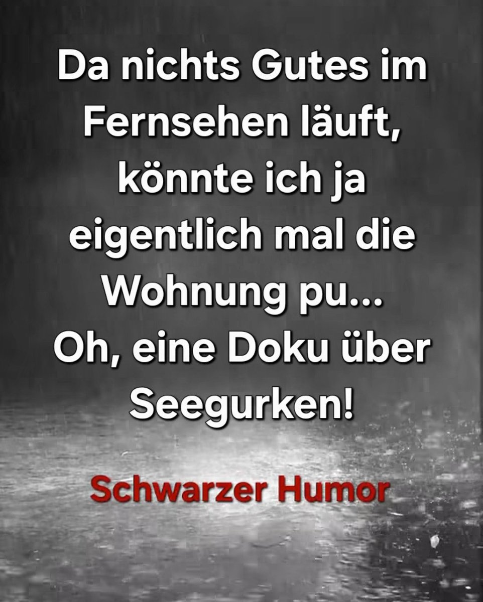 Feli Eli Brunhilde von und zu Dingenshausen tweet media