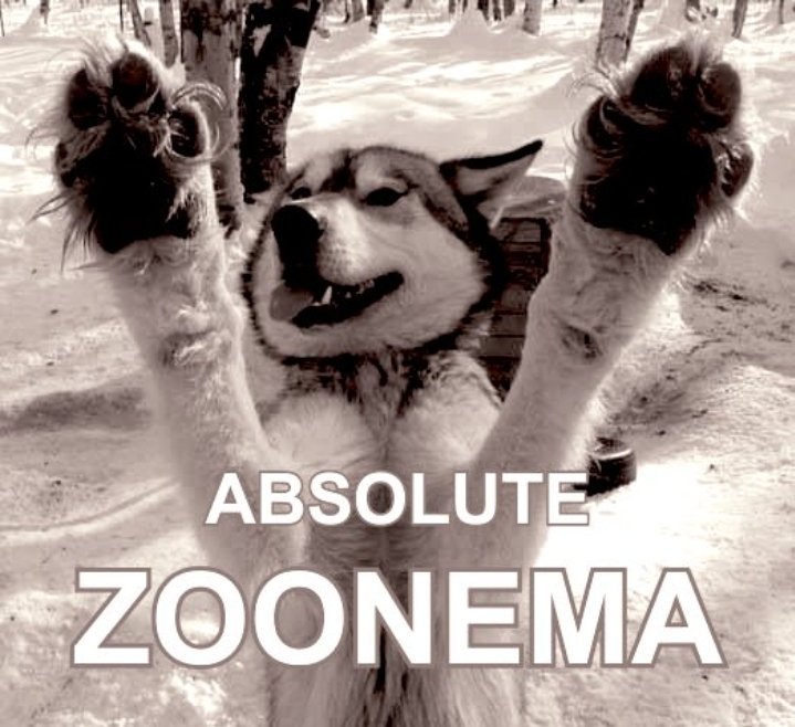 top_bator's tweet photo. #zoonema 
#knot #man #gayzoonema #zoopride https://t.co/zqf2CLEICE