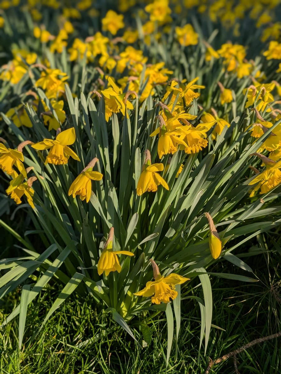 Sue Keogh tweet media