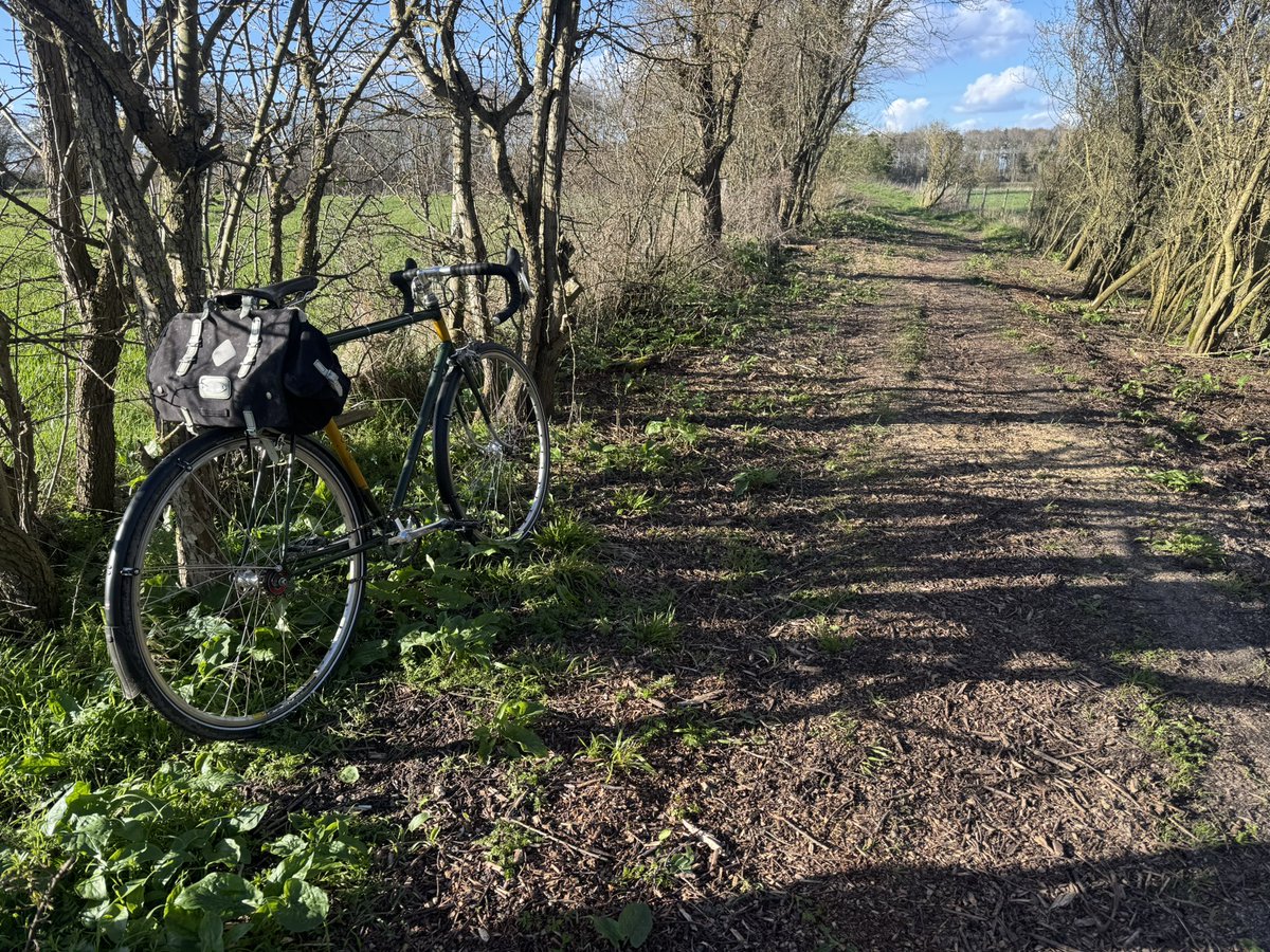 Ben Lisle tweet media