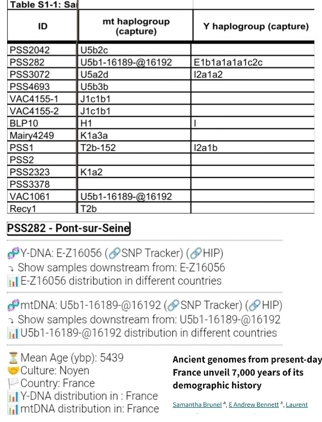 Willgain4's tweet photo. Ancient French Y-DNA Sample โ E-CTS3274
Specific downstream branch under E-M2
* Formation Age (E-L117): ~18,000 ybp
* Sample Age (PSS282): ~3488 BCE (Late Neolithic)
Sample Details
* Name: PSS282
* Site: Pont-sur-Seine
#em2 #ev38 #e1b1a #HaplogroupE #AncientDNA https://t.co/xWToDKkMis
