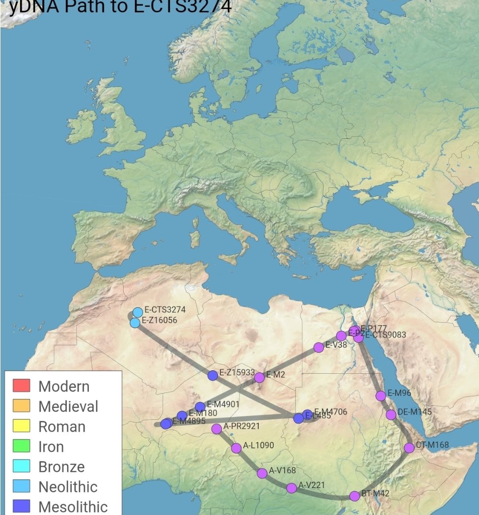 Willgain4's tweet photo. Ancient French Y-DNA Sample โ E-CTS3274
Specific downstream branch under E-M2
* Formation Age (E-L117): ~18,000 ybp
* Sample Age (PSS282): ~3488 BCE (Late Neolithic)
Sample Details
* Name: PSS282
* Site: Pont-sur-Seine
#em2 #ev38 #e1b1a #HaplogroupE #AncientDNA https://t.co/xWToDKkMis