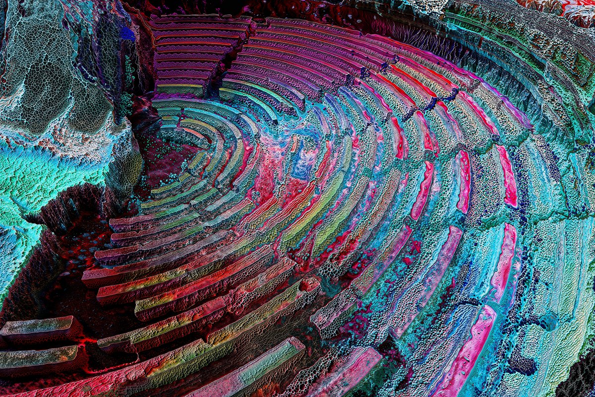 Katie Morris tweet media