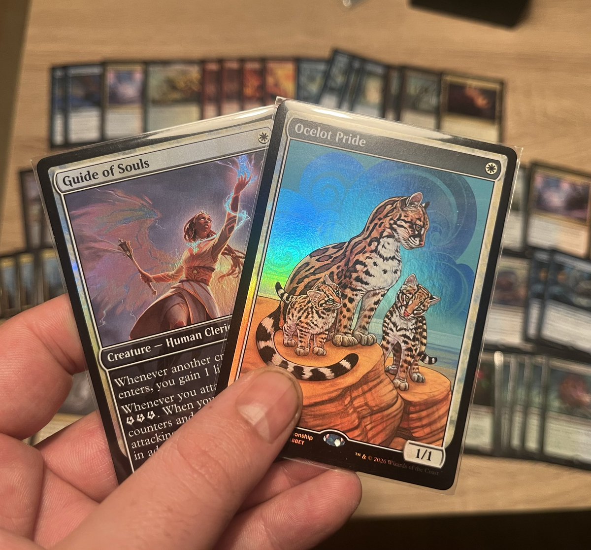 RespectTheCat🐈 tweet media