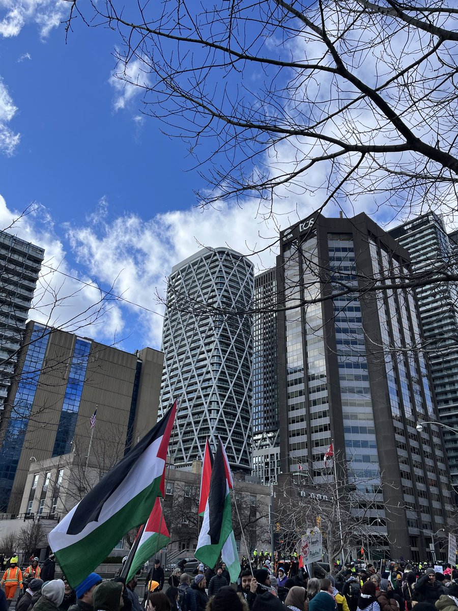 Toronto (GTA) World Beyond War tweet media