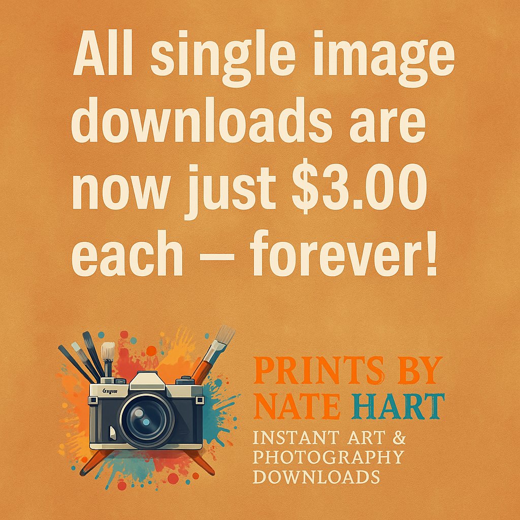 NateHartPrints's tweet image. All single image downloads are now $3 each — forever.

Browse here:
printsbynatehart.com

#WallArt #AffordableArt #DigitalArt #Photography #PrintsByNateHart