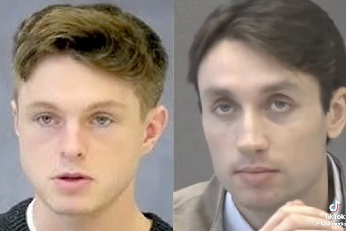 Occupy Democrats tweet media