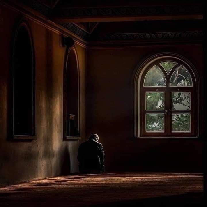 أَدِيب tweet media