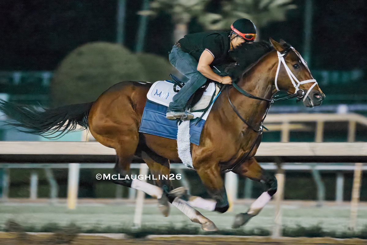 J McLaughlin Safford tweet media