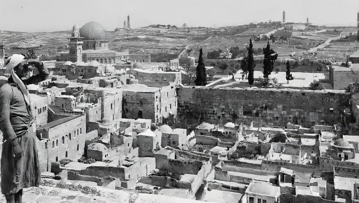 J. Shawa 🇵🇸 جاسم الشوا tweet media