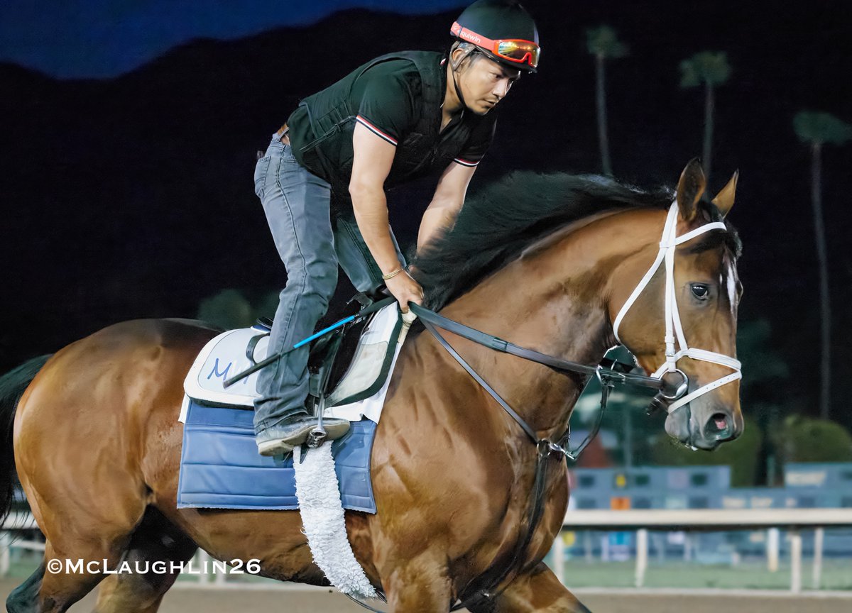 J McLaughlin Safford tweet media