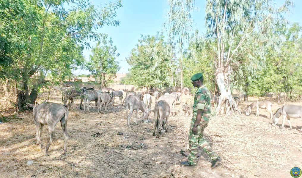 Editions SIDWAYA tweet media