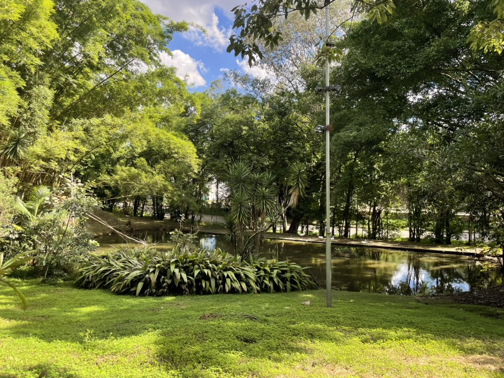 Lugares easter eggs da usp