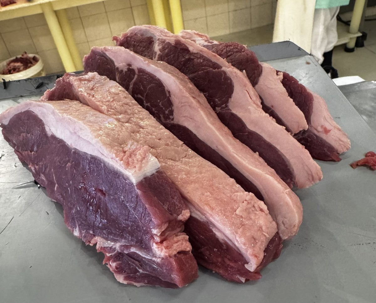 Debinvest tweet media