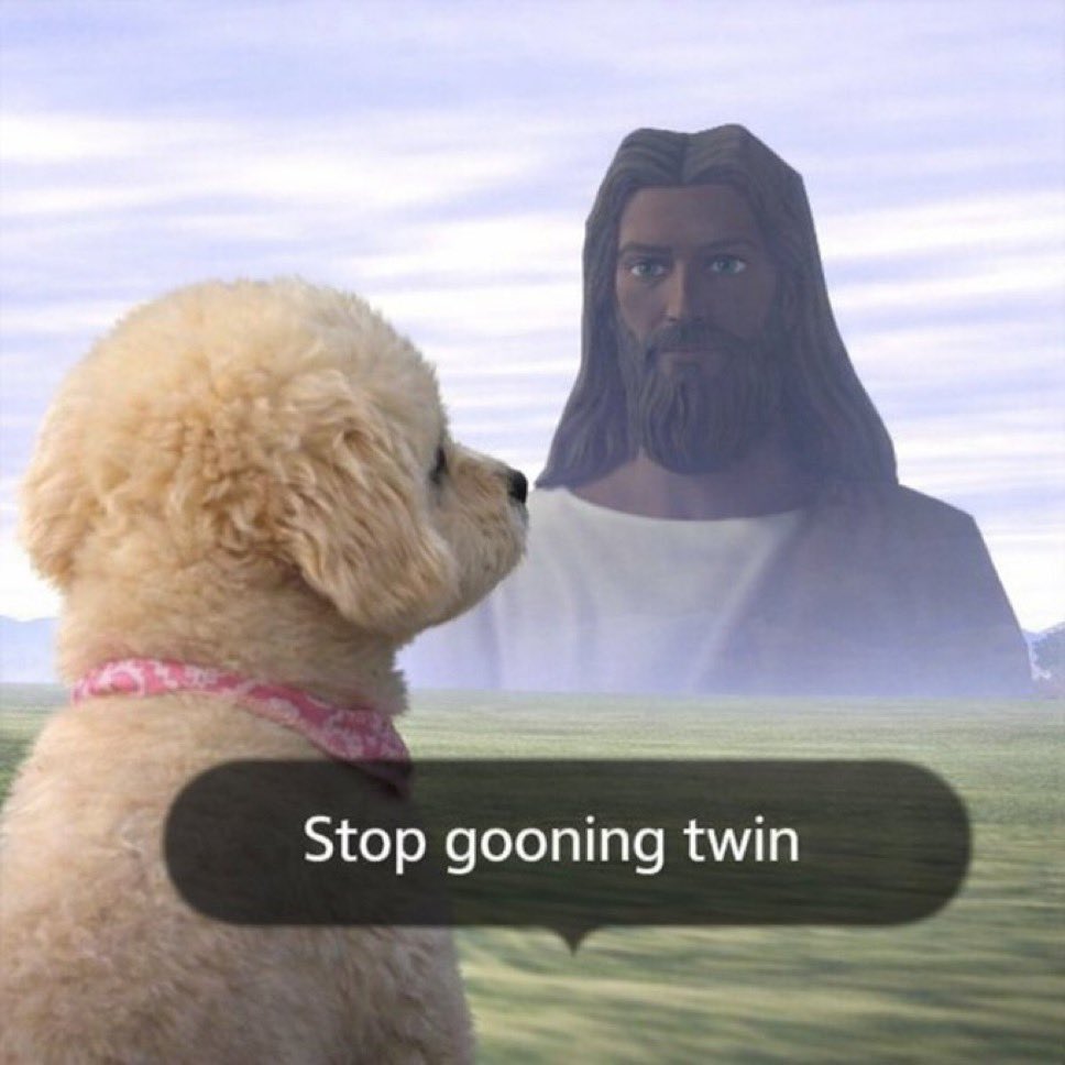 Never Goon tweet media