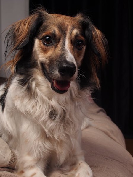 Entendu au bureau tweet media