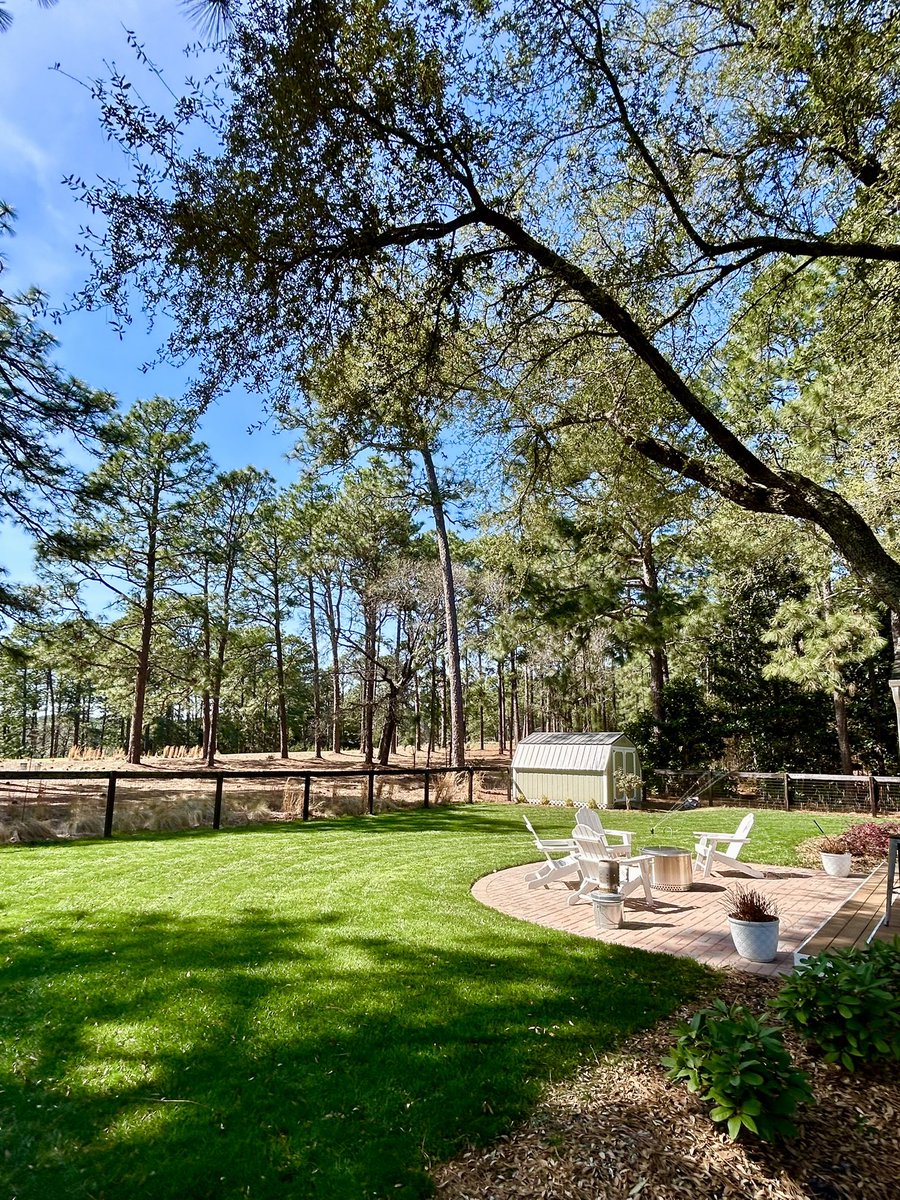 brett sullivan tweet media