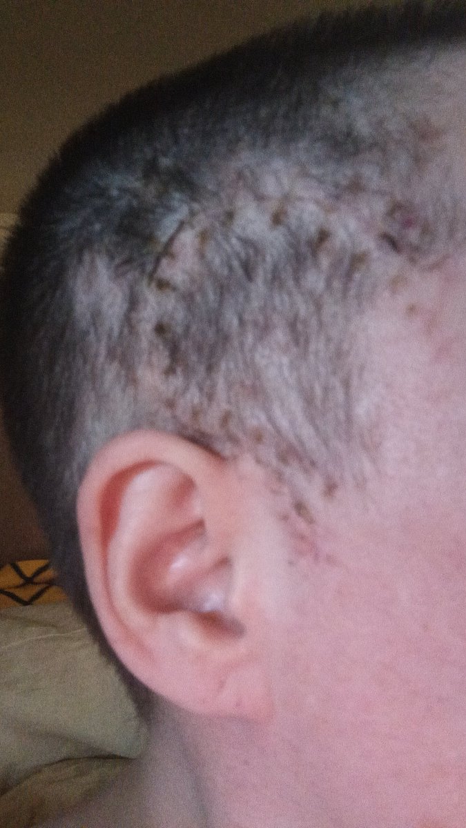 SemiBakedWife tweet media