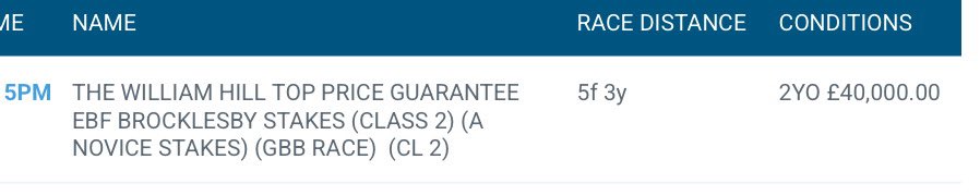 SD Racing Services tweet media