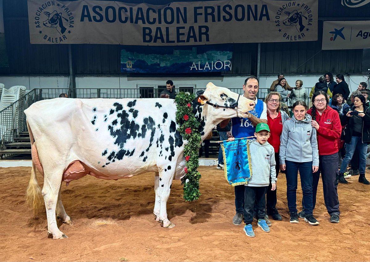 menorcaaldia tweet media