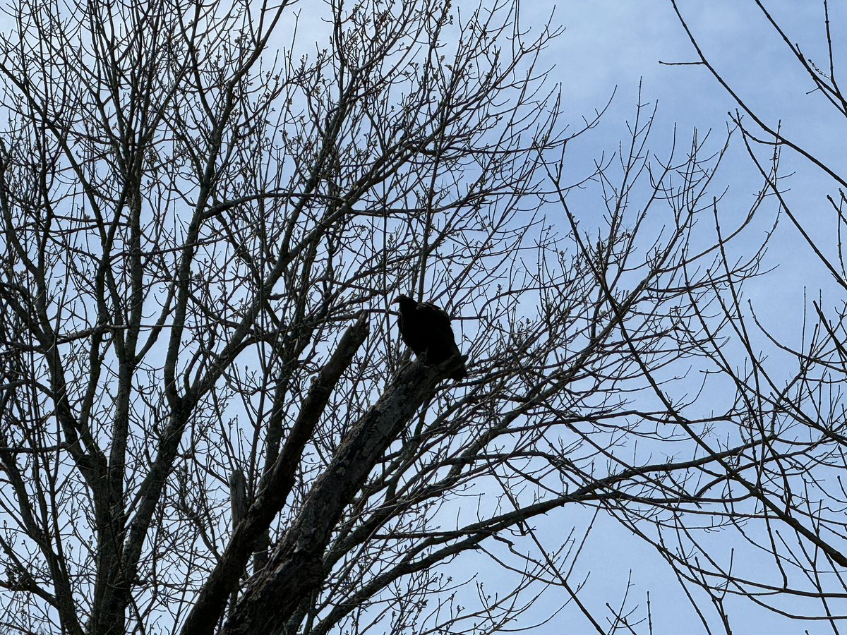 Jay Conn tweet media