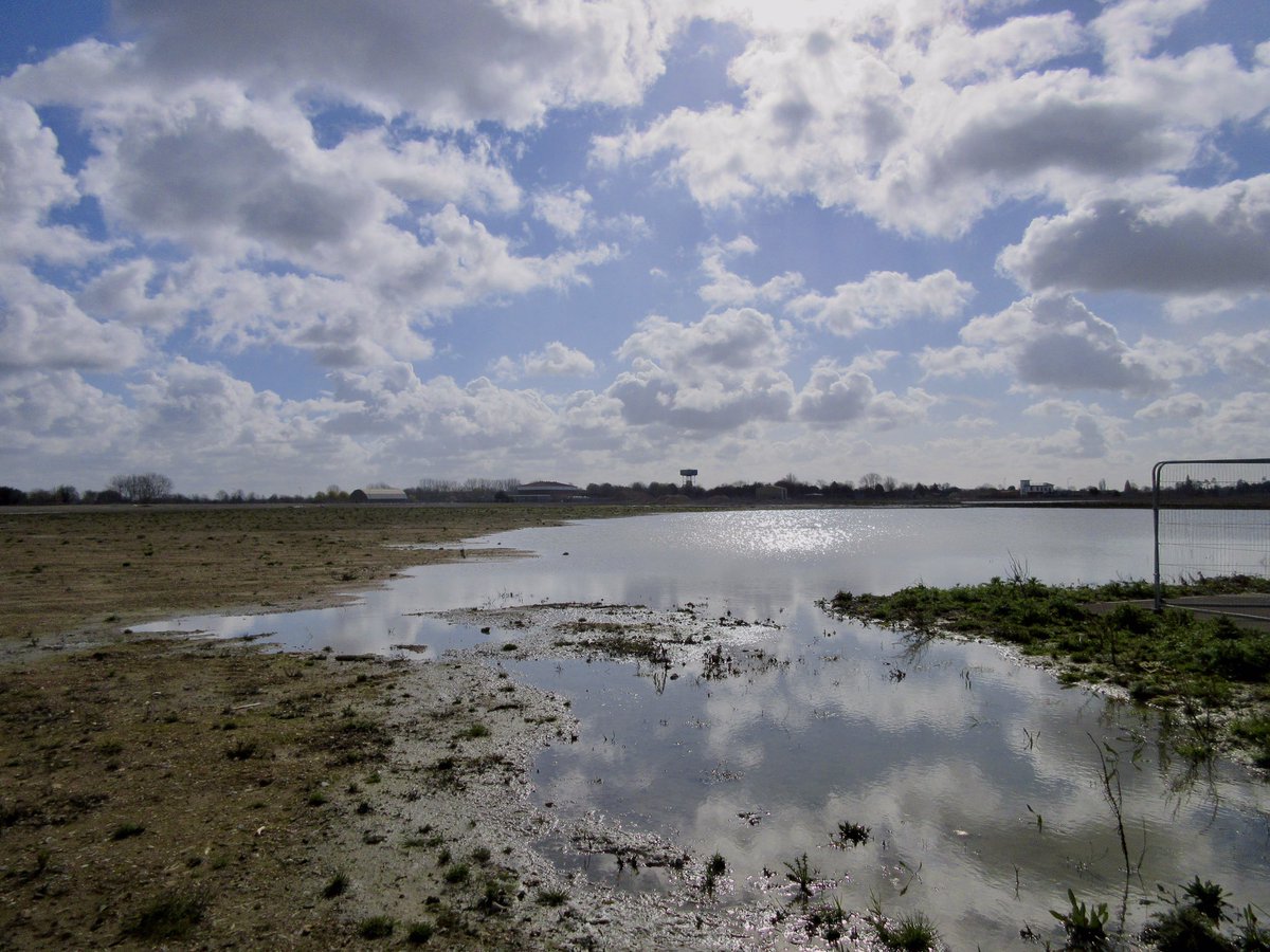 Susan Danielis Marshall tweet media