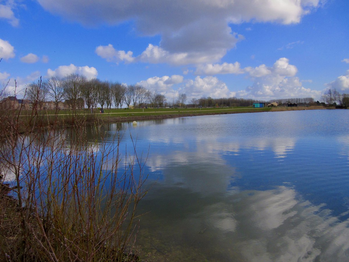 Susan Danielis Marshall tweet media