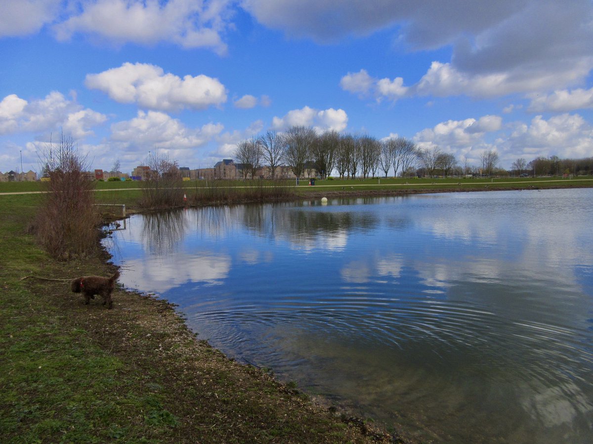 Susan Danielis Marshall tweet media