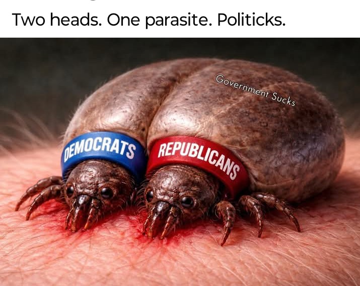 Farrell Ross I FOLLOW BACK tweet media