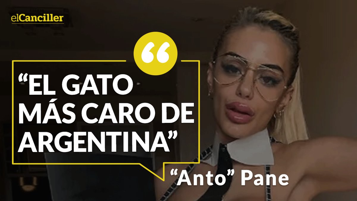 ElCanciller.com tweet media