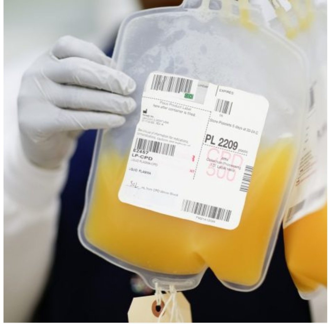 محمد هثل | Senior tweet media