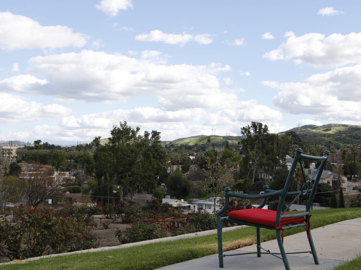 LLU Public Health tweet media