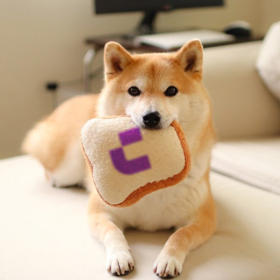 CoinW币赢 tweet media