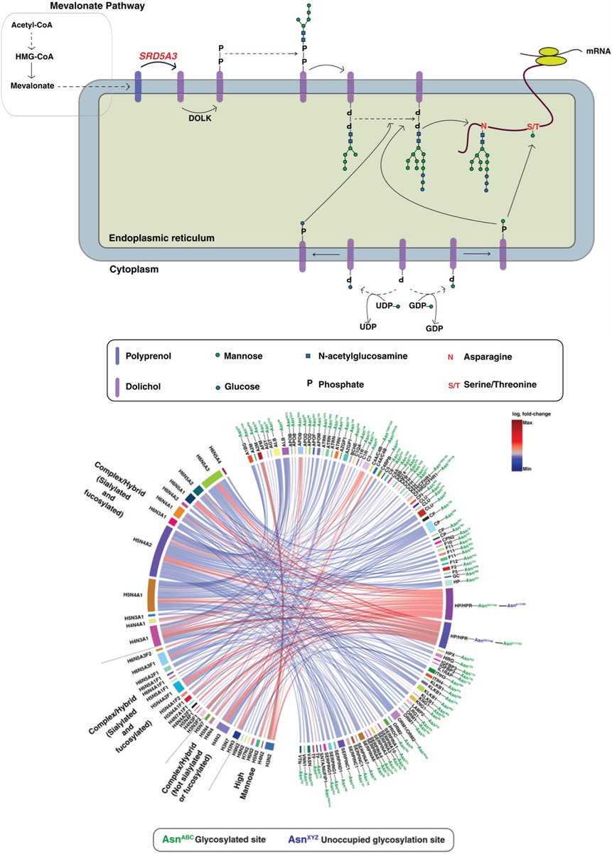 Akhilesh Pandey Lab tweet media
