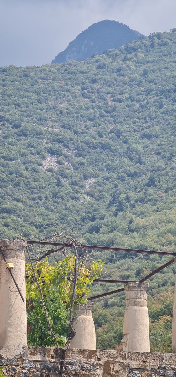 Καρδαμύλη και στο Βάθος > Ταΰγετος  !!!!!!