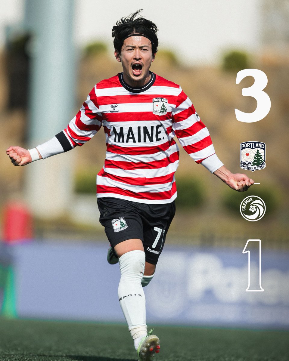 Portland Hearts of Pine tweet media