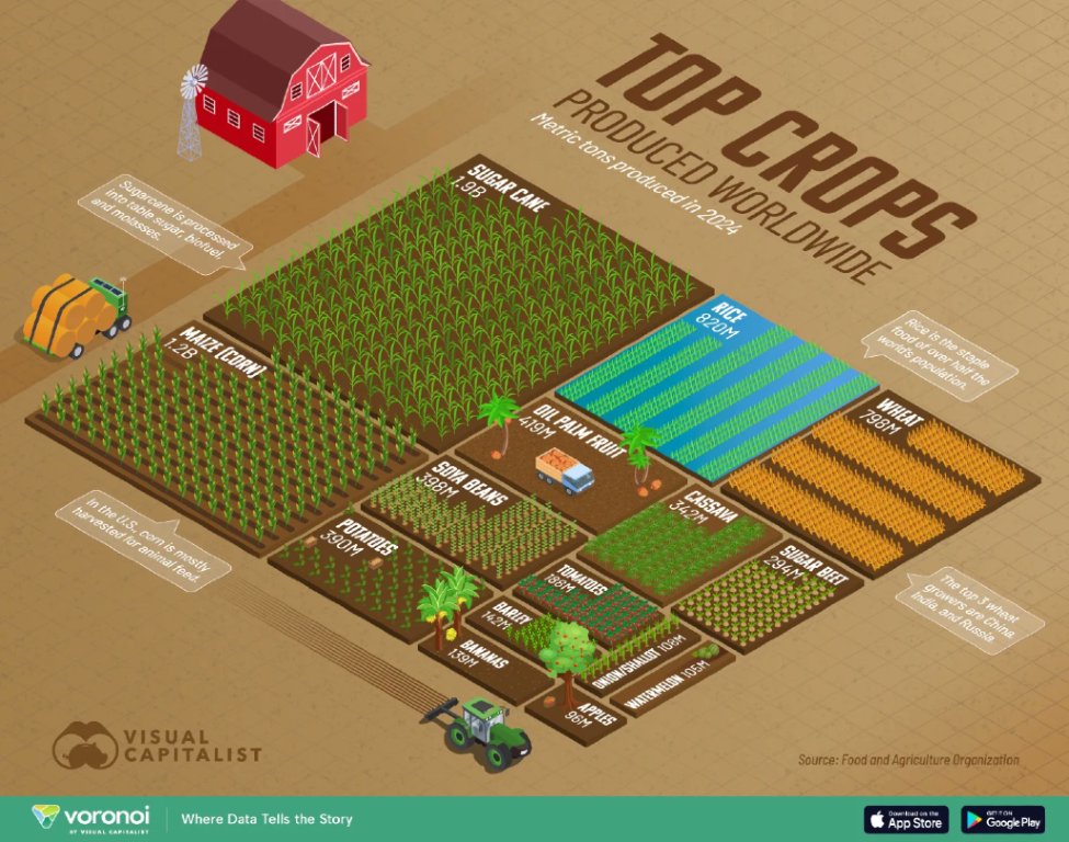 VisualCap's tweet photo. Ranked: The World’s Most Harvested Crops 🌾

https://t.co/aN4aNXFDbB https://t.co/qhLuJ7is2f