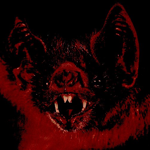 ̵𝕯̵𝖆̵𝖍̵𝖑̵𝖎̵𝖆̵ tweet media