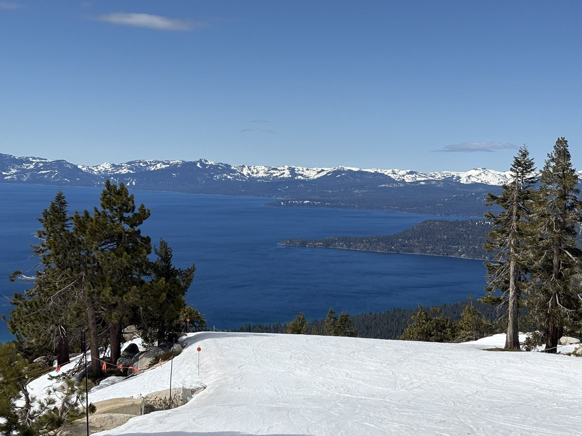 Oren Jacob tweet media